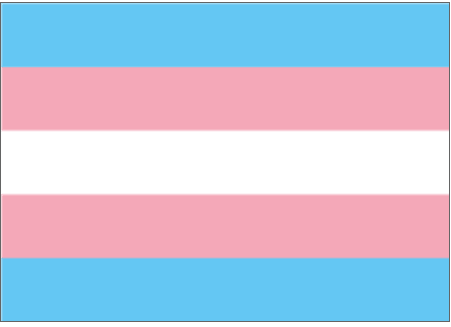 Transflagge