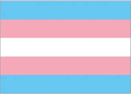 Transflagge