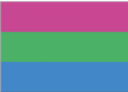 Polysexuelle Flagge