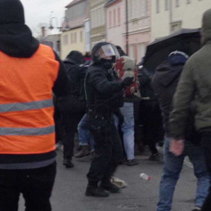 Polizeitgewalt beim AfD-Bundesparteitag in Riesa