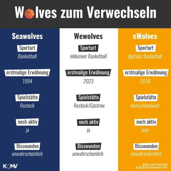 Die Grafik zeigt die drei Wolves-Teams zum Verwechseln – das Rostocker Bundesligabasketballteam Rostock Seawolves, die inklusiven Basketballmannschaften Wewolves in Rostock und Güstrow und die bereits nicht mehr existierende Basketball-E-Sport-Mannschaft eWolves.