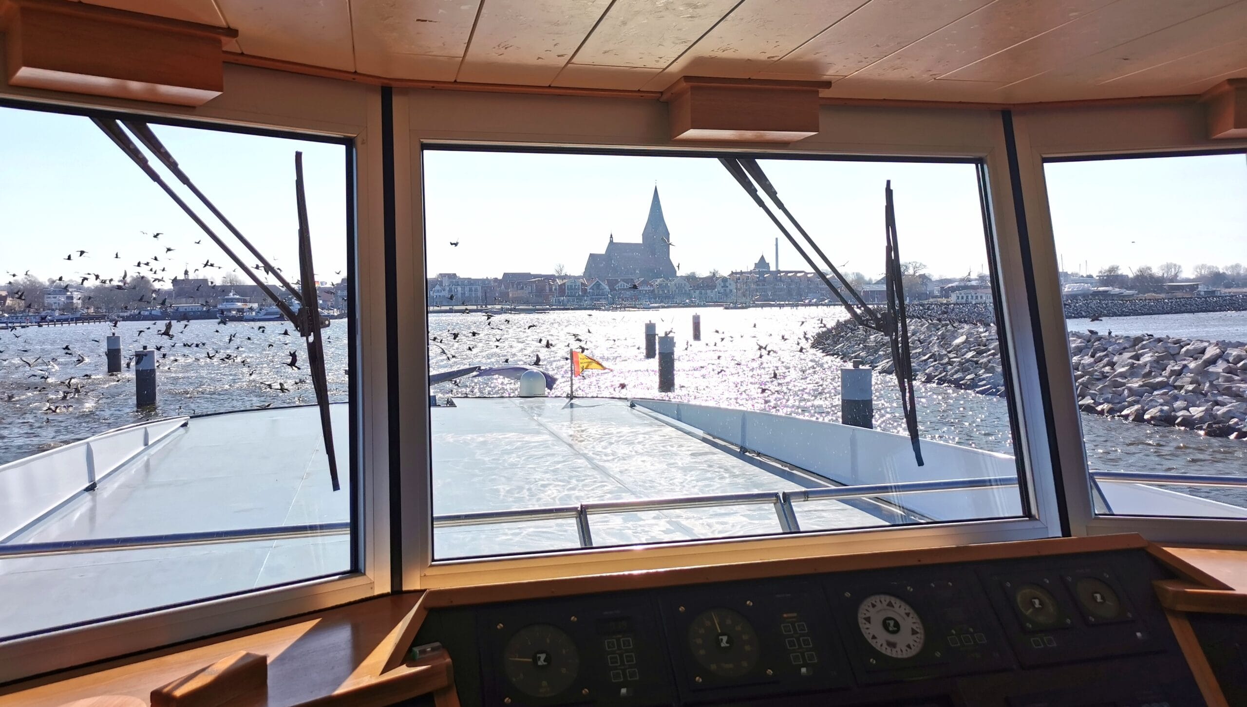 Einfahrt in den Hafen von Barth mit Scharen von Kormoranen (Foto: Peer Schmidt-Walther)