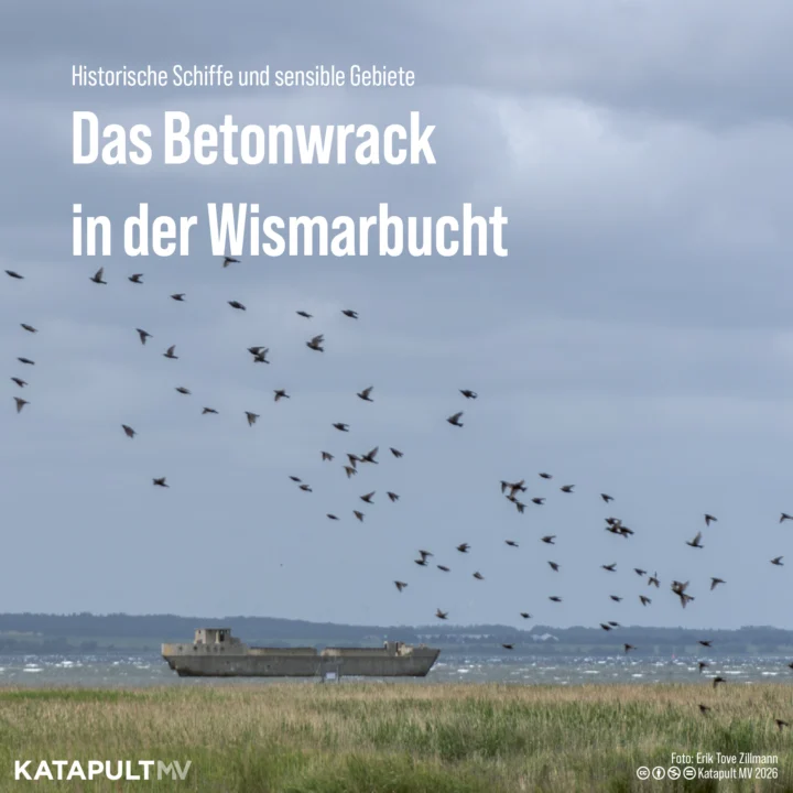 Ein Bild vom Betonwrack in der Wismarer Bucht