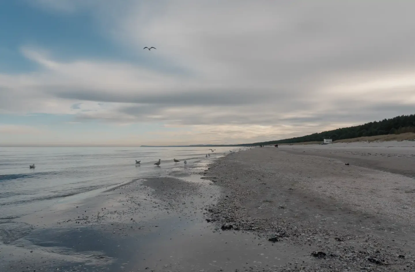 Das Foto zeigt den fast menschenleeren Strand der Gemeinde Karlshagen auf Usedom.