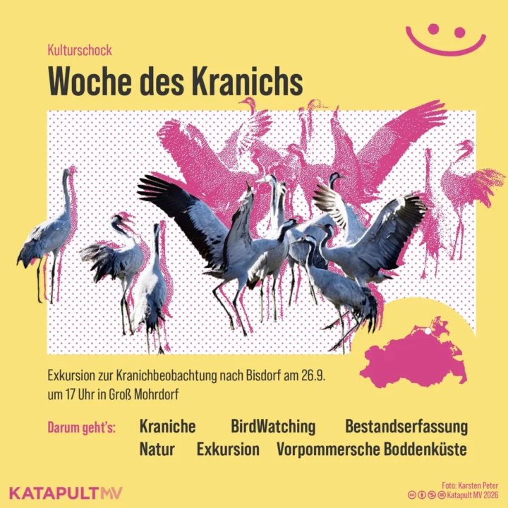 unser wöchtenlicher Kulturschock. Heute: Die Kranichwoche mit Vogelbeobachtung am Samstag, 26. 9.