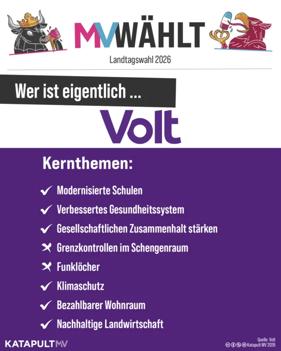 Unser Kleinparteiencheck zur Landtagwahl MV 2026. Heute: Volt