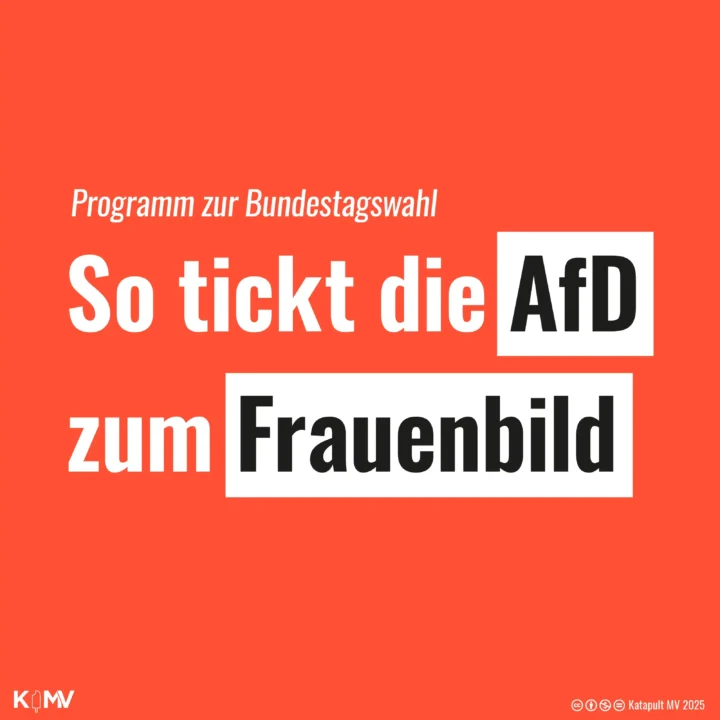 Die Kachel enthält folgende Überschrift: Programm zur Bundestagswahl – So tickt die AfD zum Frauenbild.