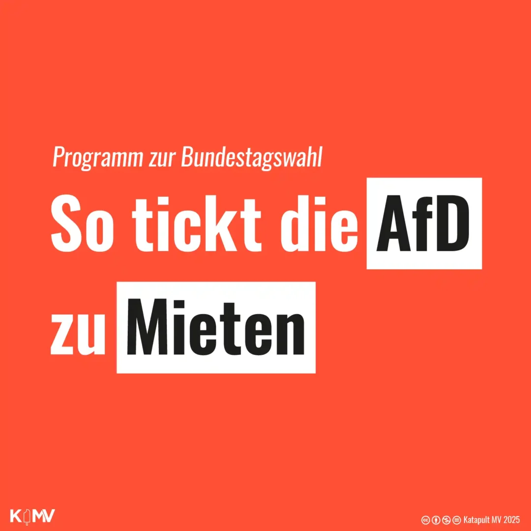 Die Kachel enthält folgende Überschrift: Programm zur Bundestagswahl – So tickt die AfD zu Mieten.