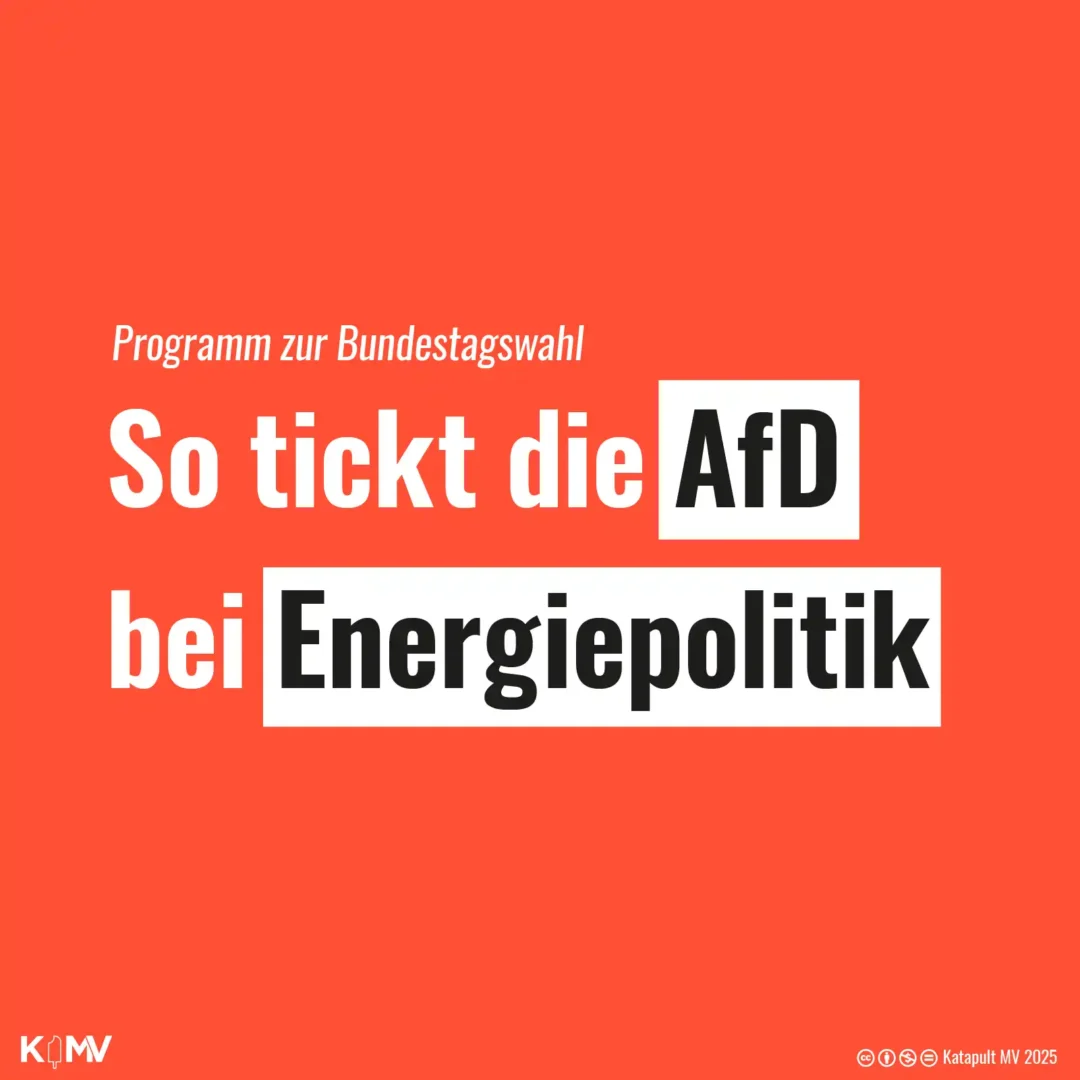 Die Kachel enthält folgende Überschrift: Programm zur Bundestagswahl – So tickt die AfD bei Energiepolitik