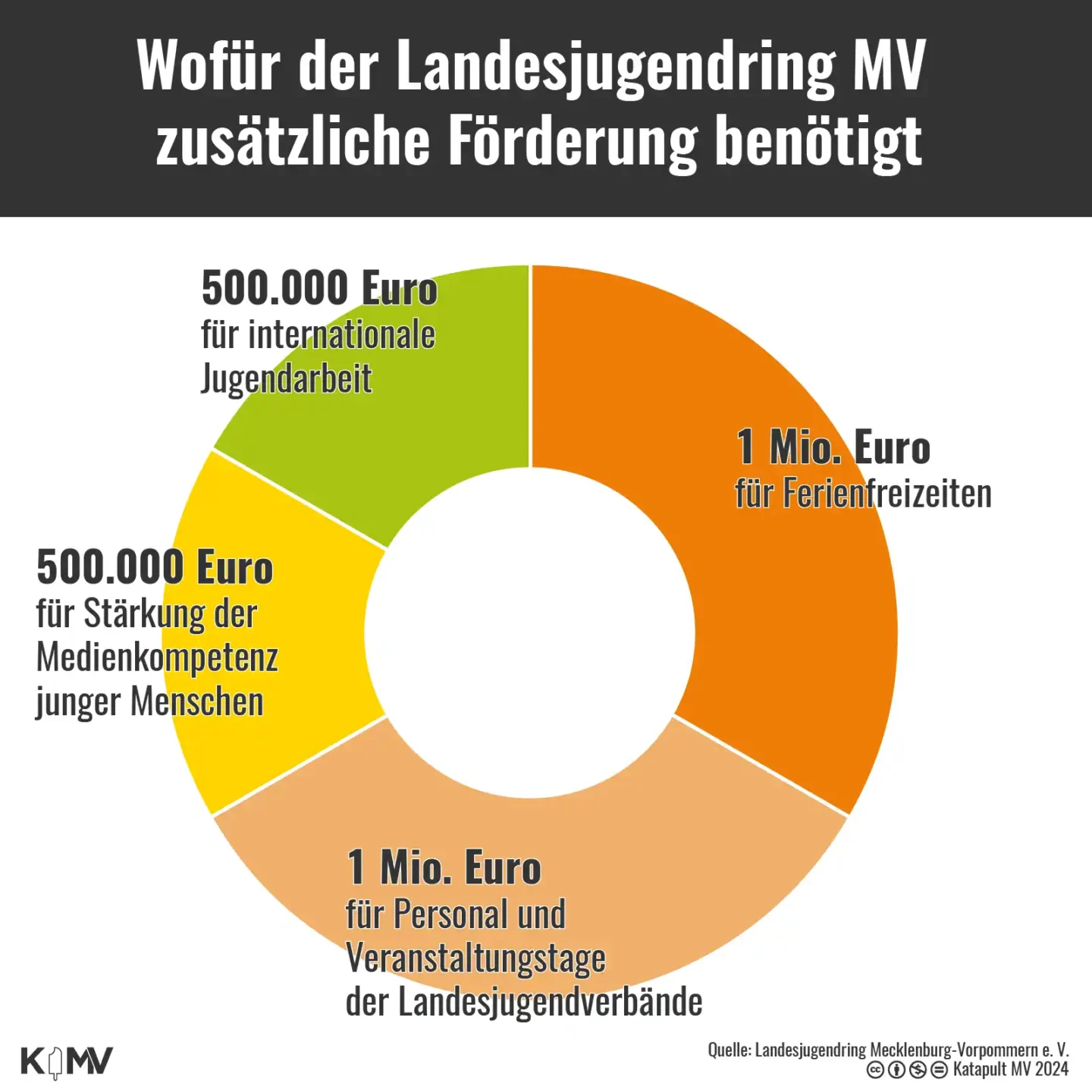 Die Grafik zeigt wofür der Verein Landesjugendring Mecklenburg-Vorpommern (MV) in Zukunft mehr Geld benötigt.