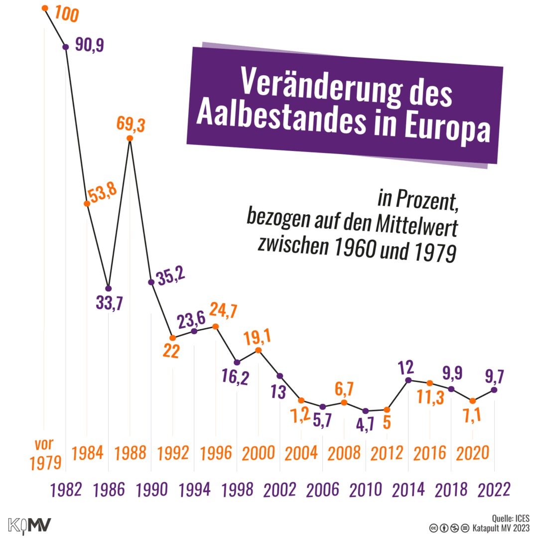 Diagramm zur Veränderung des Aalbestandes in Europa. Seit 1979 schrumpft dieser beständig: 2022 gab es nur noch 9