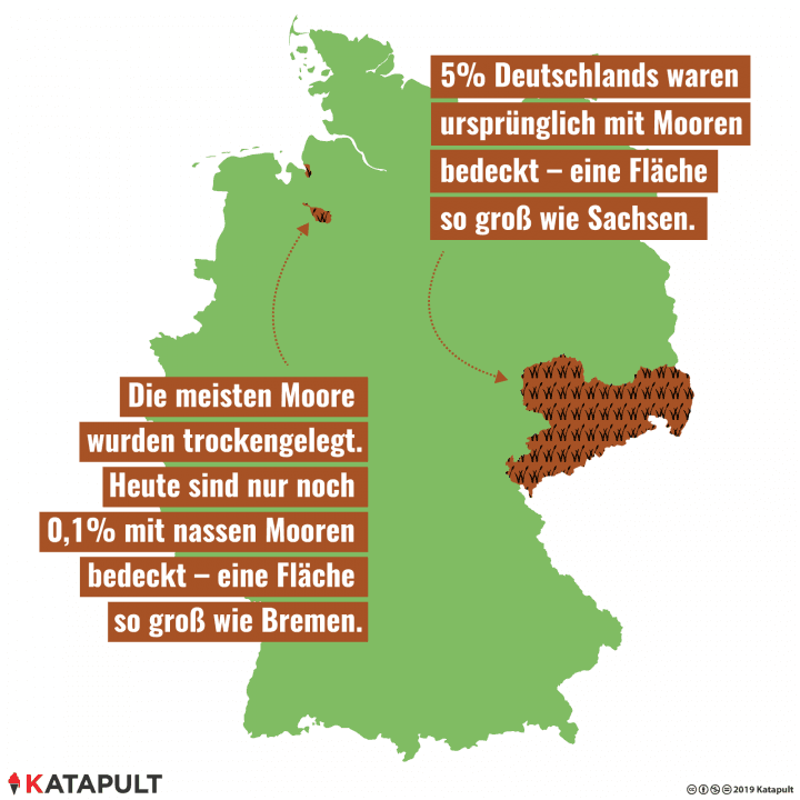 5 Prozent Deutschlands waren ursprünglich mit Mooren bedeckt - eine Fläche so groß wie Sachsen. Die meisten Moore wurden trockengelegt. Heute sind nur noch 0,1 Prozent mit nassen Mooren bedeckt - eine Fläche so groß wie Bremen.