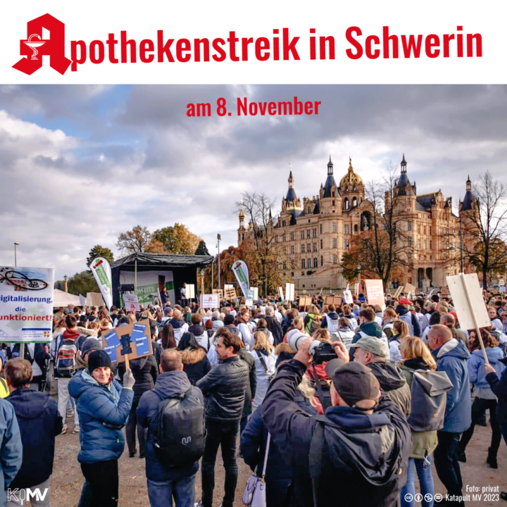 Foto von Demonstrierenden vor dem Schweriner Schloss. Überschrift: "Apothekenstreik in Schwerin am 8. November"