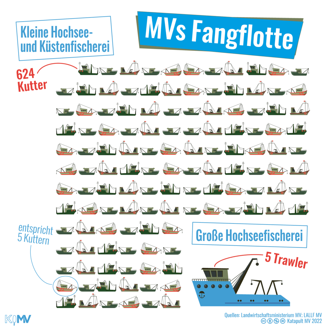 MVs Fangflotte: 624 Kutter der Kleinen Hochsee- und Küstenfischerei und 5 Trawler der Großen Hochseefischerei. Symbolisch dargestellt anhand von einem Kutter pro 5 Symbolen und einem großen Symbol von einem Trawler.