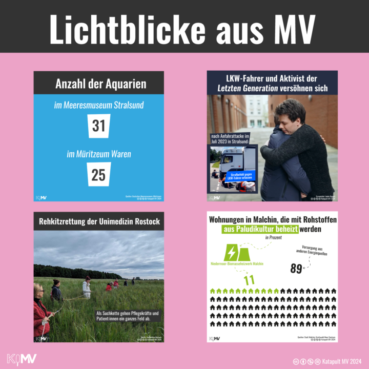 Lichtblicke aus MV. Vier Titelgrafiken zu guten Nachrichten aus MV: Vergleich der Anzahl der Aquarien; LKW-Fahrer und Aktivist der Letzten Generation versöhnen sich; Rehkitzrettung der Unimedizin Rostock; Wohnungen in Malchin