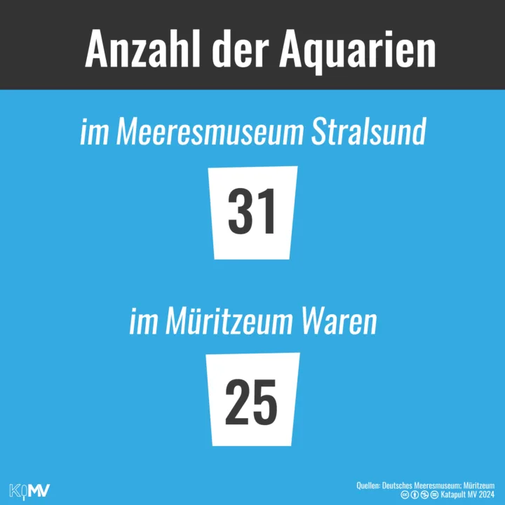 Gegenüberstellung der Anzahl an Aquarien im Meeresmuseum Stralsund: 31