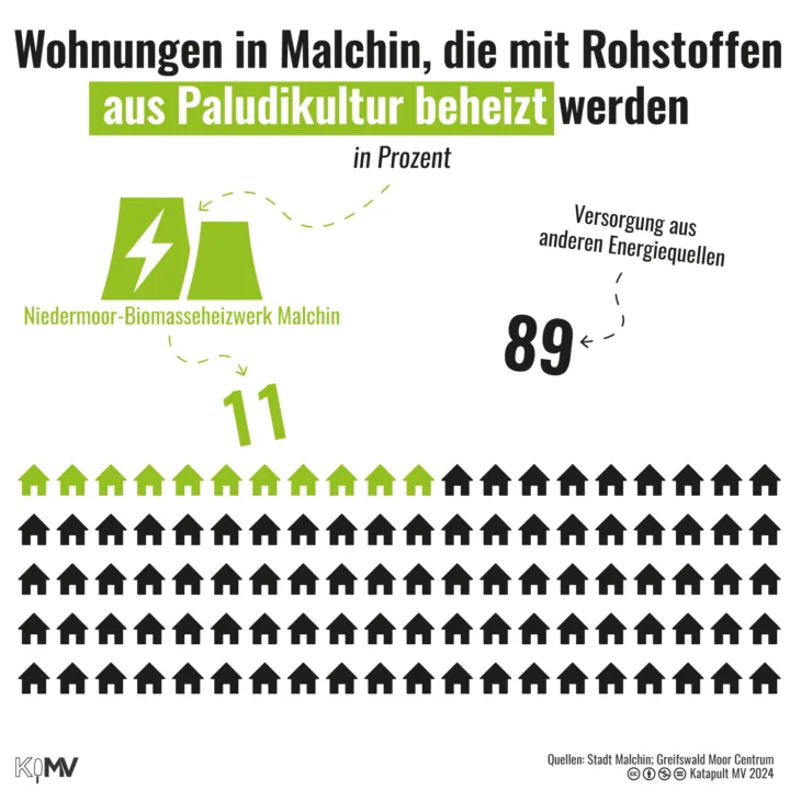 Infografik mit 100 Icons von Häusern