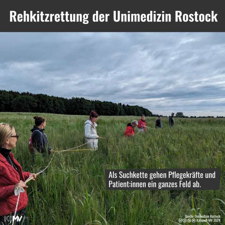 Foto von der Rehkitzrettung der Unimedizin Rostock: Asl Suchkette gehen Pflegekräfte und Patient:innen ein ganzes Feld ab.