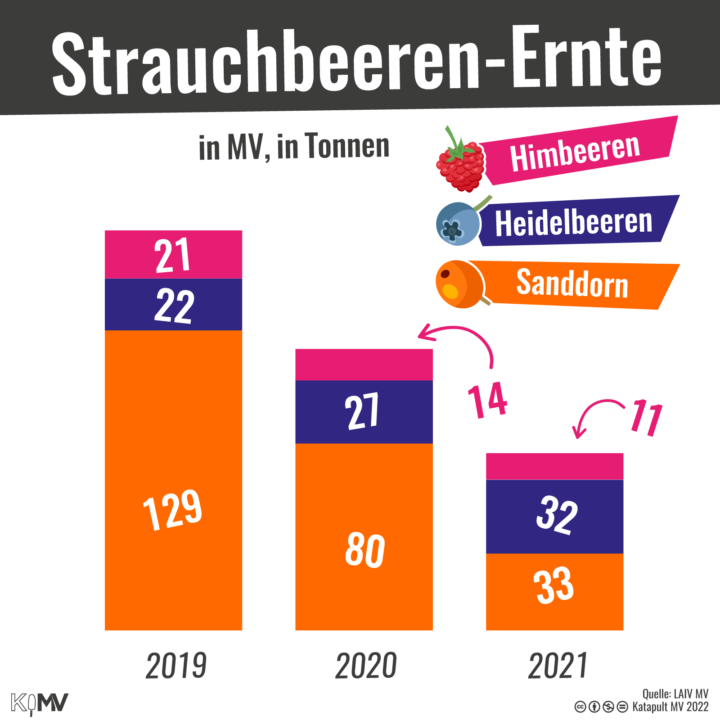 Strauchbeeren-Ernte in MV in Tonnen: 2019: 129 Sanddorn