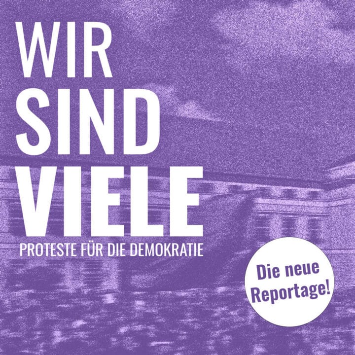 Die Grafik zeigt das Titelbild der Dokumentation: Wir sind viele. Proteste für die Demokratie.