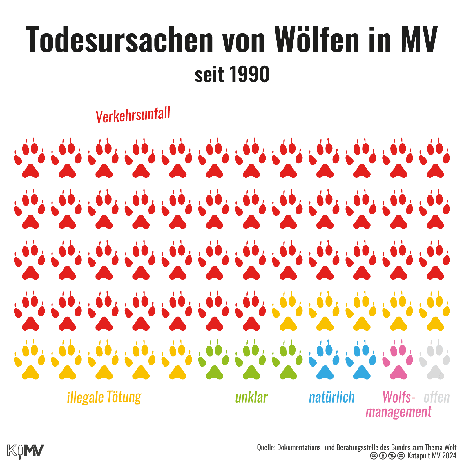 Todesursachen von Wölfen in MV seit 1990: Verkehrsunfall 43 Mal, illegale Tötung 10 Mal, 3 Mal unklar, 2 Mal natürlich, einmal Wolfsmanagement, einmal offen.