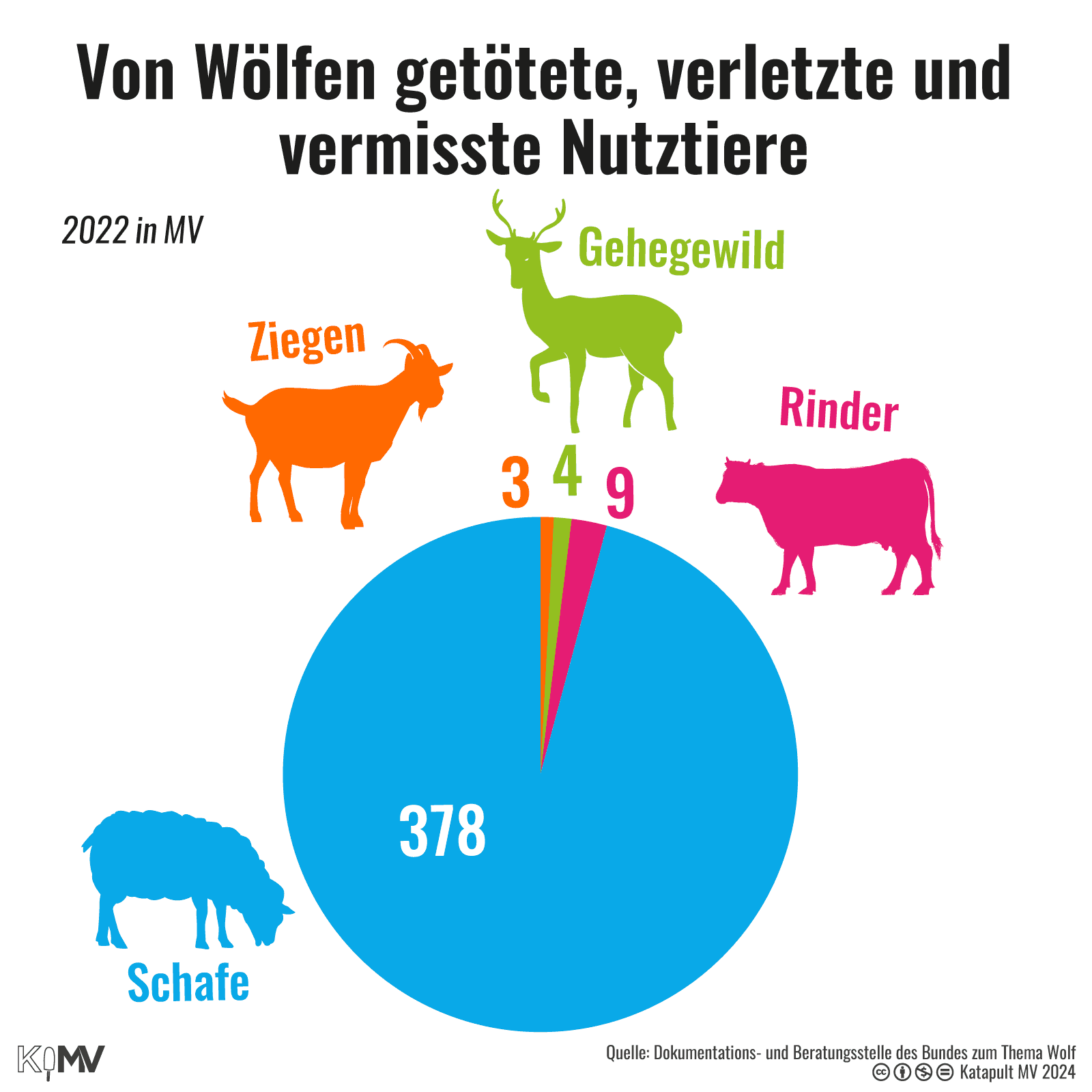 Von Wölfen getötete, verletzte und vermisste Nutztiere 2022 in MV: 378 Schafe, 9 Rinder, 4 Gehegewild, 3 Ziegen